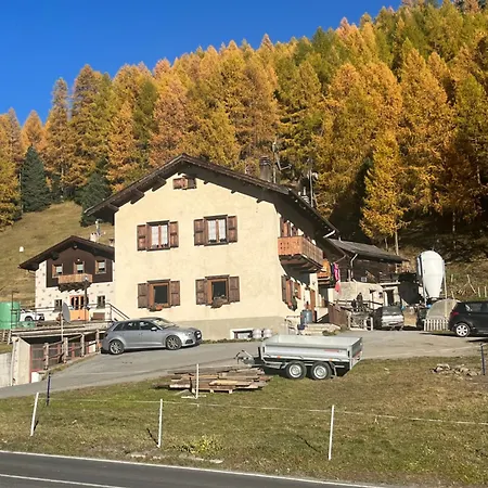 Trilocale Freita Myholidaylivigno Livigno